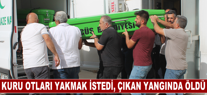 Batman'da üzüm bağındaki kuru otları yakmak isteyen kişi çıkan yangında öldü