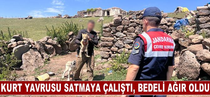 Kars'ta kurt yavrusu satmaya çalışan kişiye 14 bin 386 lira ceza kesildi