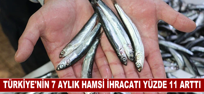 Türkiye'nin 7 aylık hamsi ihracatı yüzde 11 arttı