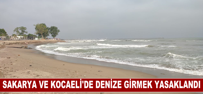 Sakarya ve Kocaeli'de denize girmek yasaklandı