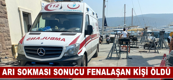 Bodrum'da arı sokması sonucu fenalaşan kişi kurtarılamadı