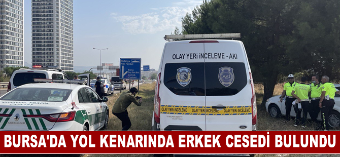 Bursa'da yol kenarında erkek cesedi bulundu