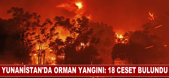 Yunanistan'da orman yangını: 18 ceset bulundu