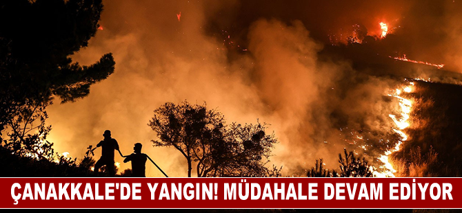 Çanakkale'de dün çıkan orman yangınına havadan ve karadan müdahale sürüyor