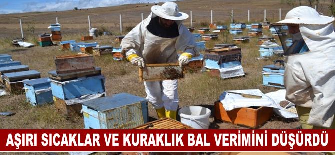 Aşırı sıcaklar ve kuraklık Trakya'da bal verimini düşürdü