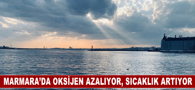 Marmara Denizi'nde oksijen azalıyor, sıcaklık artıyor