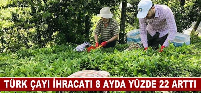 Türk çayı ihracatı 8 ayda yüzde 22 arttı