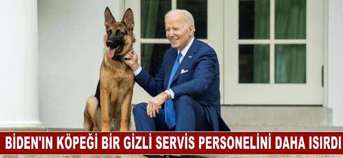 Biden'ın köpeği "Commander" bir Gizli Servis personelini daha ısırdı