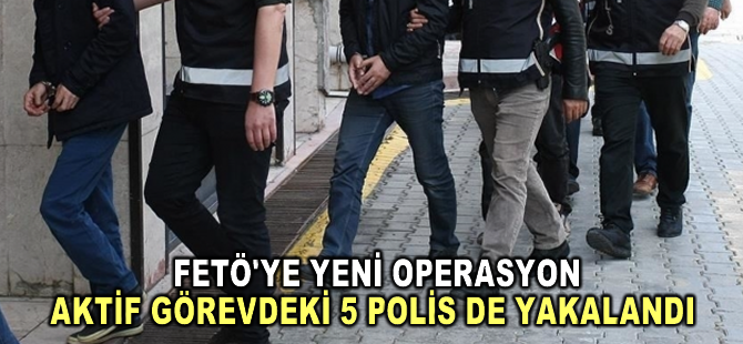 FETÖ'ye yönelik 2 ildeki operasyonda 9 şüpheli gözaltına alındı