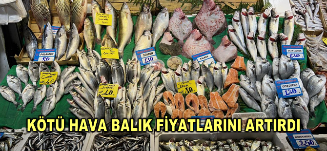 Hava koşulları balık fiyatlarını etkiledi