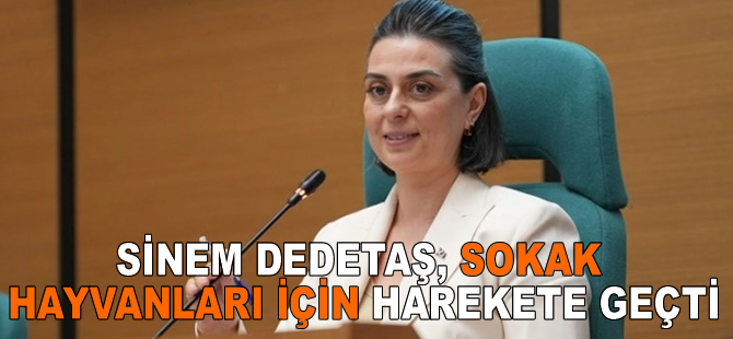 Sinem Dedetaş, sokak hayvanları için harekete geçti