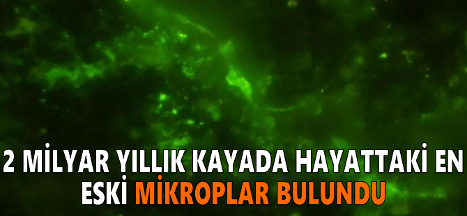 2 milyar yıllık kayada hayattaki en eski mikroplar bulundu