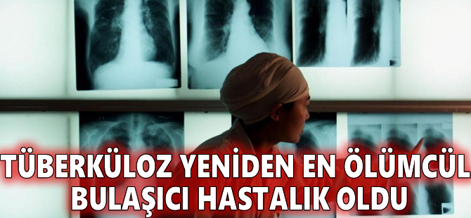 Tüberküloz yeniden en ölümcül bulaşıcı hastalık oldu