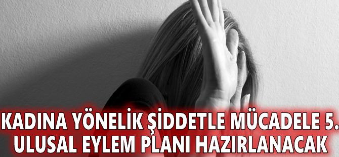 Kadına Yönelik Şiddetle Mücadele 5. Ulusal Eylem Planı hazırlanacak