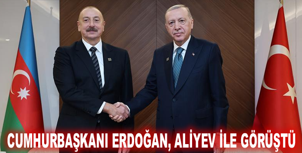 Cumhurbaşkanı Erdoğan, Aliyev ile görüştü