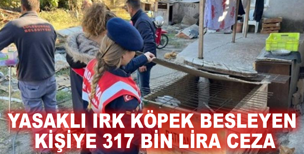 Yasaklı ırk köpek besleyen kişiye 317 bin lira ceza