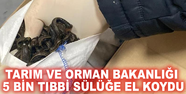 Tarım ve Orman Bakanlığı 5 bin tıbbi sülüğe el koydu