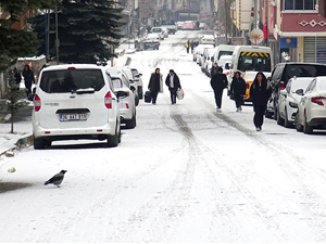 Doğu Anadolu buz kesti