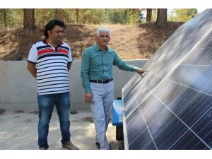 Hayvanlar, artık güneş enerjisiyle sağılacak