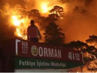 Dalaman'da orman yangını rüzgarın etkisiyle büyüdü, alevler iki mahalleye yaklaştı