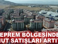 Deprem bölgesinde konut satışları artıyor