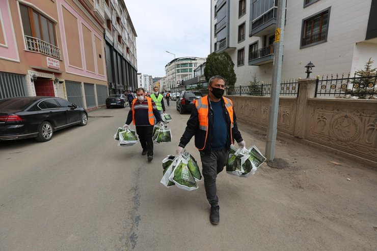 Yeni oluşturulacak orman için tohumlar dağıtılıyor