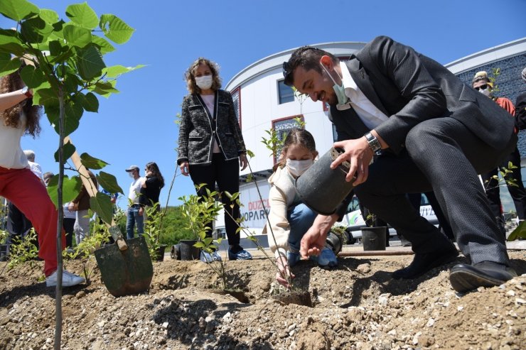 Düzce Teknopark’ta fidanlar toprakla buluştu