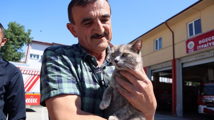 Öfkeli kedi annesi ile buluştu