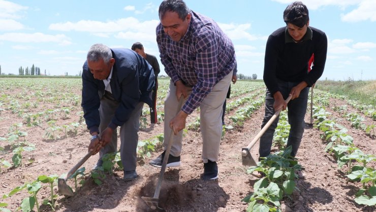 Aksaray’da tarımsal üretim hız kesmeden devam ediyor