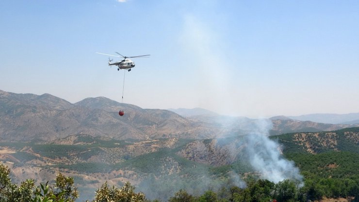 Bingöl’de iki gündür süren orman yangınına havadan ve karadan müdahale ediliyor