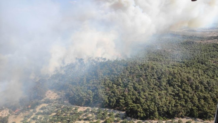 Foça’daki yangına müdahale devam ediyor