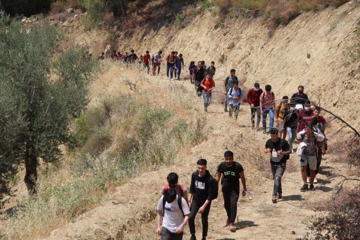 Kaçak göçmenler ormanda yakalandı