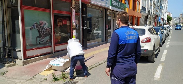 Şehre inen arılara zabıta ekipleri müdahale etti