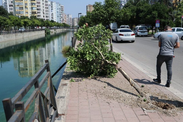 Sulama kanalına düşen otomobildeki 2 kişi yüzerek kurtuldu