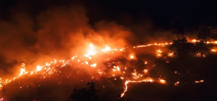 Elazığ’daki örtü yangını rüzgarın etkisiyle yeniden alevlendi