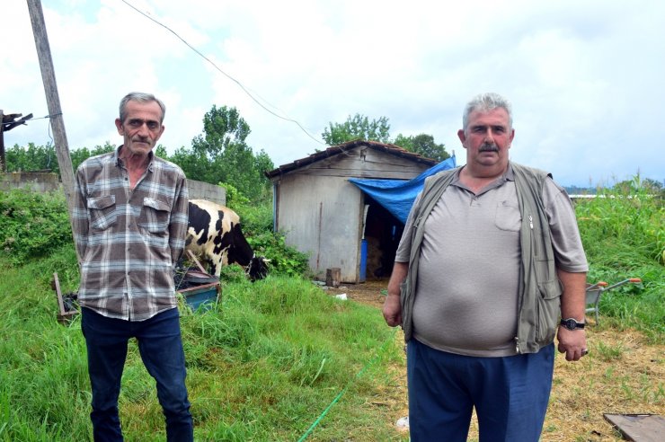 Şehit babasından yangın bölgesine duygulandıran yardım