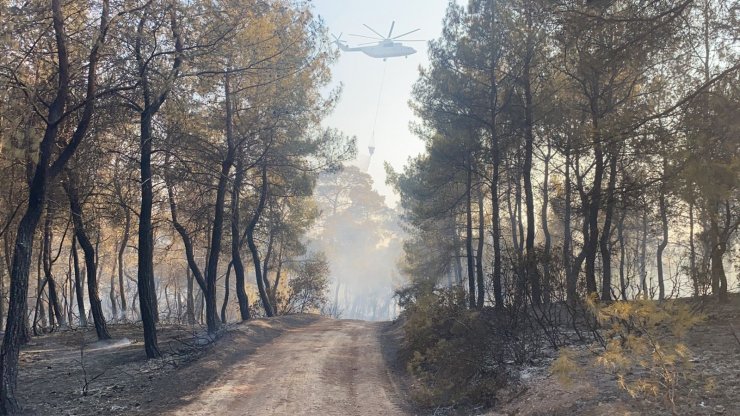 Seydikemer’deki yangın kontrol altına alındı