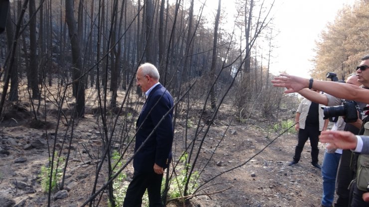 Kılıçdaroğlu Marmaris’te evleri yanan aileyi ziyaret etti, yeşillenen bir ağacın fotoğrafını çekti