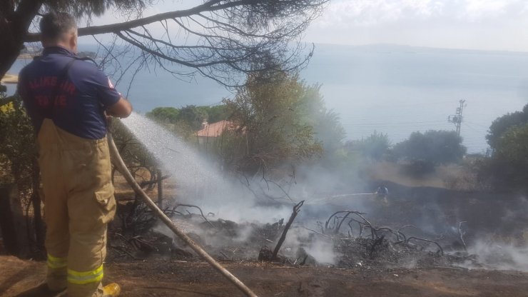 Erdek’te arazi yangını