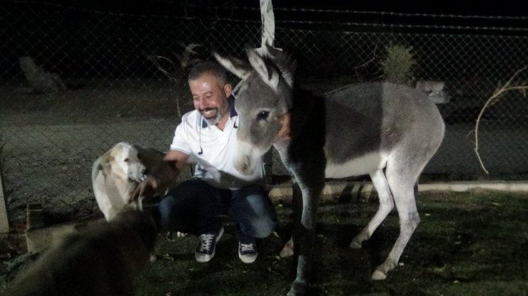 Diyarbakırlı iş adamı yolda ayağı kırık halde gördüğü eşeğe şefkat eli uzattı