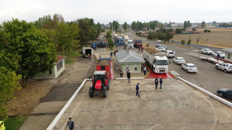 Muş’ta pancar alım kampanyası başladı