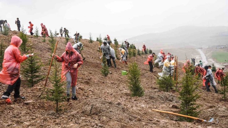 6 Şubat 2023 Deprem Şehitleri Hatıra Ormanı’nda 435 fidan toprakla buluştu